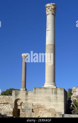 Unter den Ruinen an der Stelle des alten Karthago, in der Nähe des heutigen Tunis, Tunesien. Stockfoto