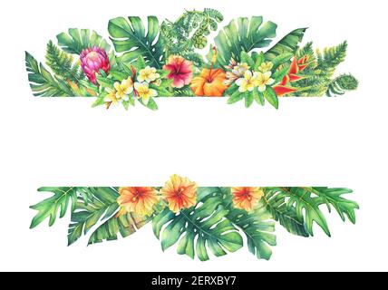 Banner mit Ästen lila Protea Blumen, Plumeria, Hibiskus und tropischen Pflanzen. Handgezeichnetes Aquarell auf weißem Hintergrund. Stockfoto