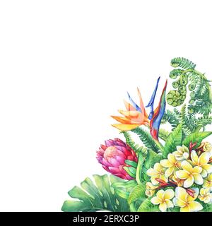 Florale Karte mit Zweigen lila Protea Blumen, Plumeria, strelitzia und tropischen Pflanzen. Handgezeichnetes Aquarell auf weißem Hintergrund. Stockfoto