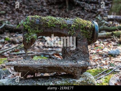 Eine verlassene rostige Moos bedeckte alte Junk-Nähmaschine, die draußen in einem Wald zurückgelassen wurde Stockfoto