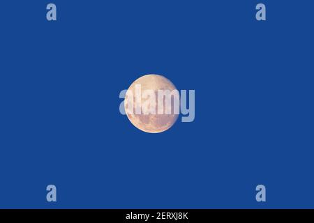 Vollmond, der vor dunklem Hintergrund des blauen Himmels leuchtet Stockfoto