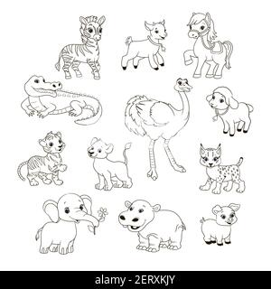 Malbuch für Kinder, Satz von verschiedenen Tieren, Vektor-Illustration im Cartoon-Stil, schwarz-weiße Linie Kunst Stock Vektor
