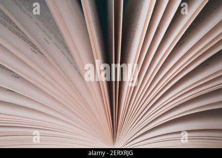 Symmetrische Aufnahme eines offenen Buches. Seiten in beide Richtungen aufgefächert. Gestochen scharfe weiße Seiten. Stockfoto