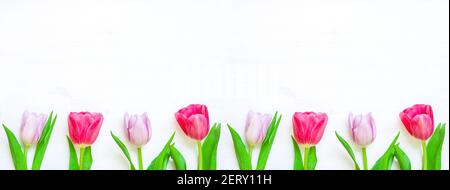 Frühlingsblumen, schöne Tulpenblüten auf Holzgrund, Frühlingsrand mit rosa Tulpenblüten Stockfoto