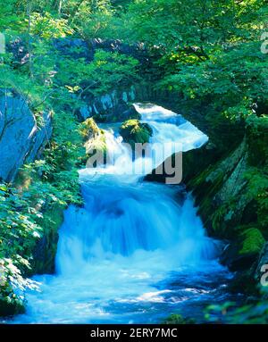 Wasserfall, unter Steinbrücke, Stockfoto