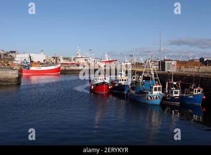 Der Fischereihafen von Fraserburgh in Aberdeenshire, Schottland, Großbritannien Stockfoto