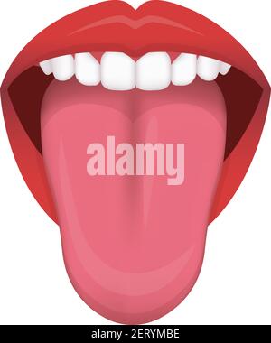 Zunge Gesundheit Zeichen Vektor Illustration ( normale Zunge ) Stock Vektor