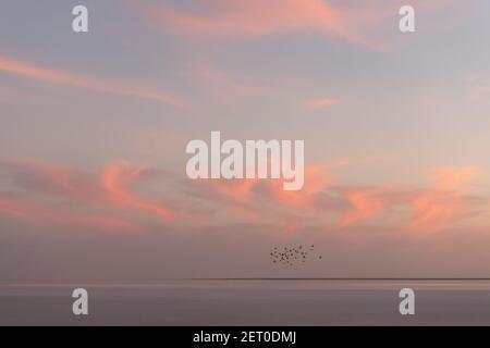 Sonnenuntergang auf dem Meer mit rot glühenden wolkigen Himmel und Schar von Vögeln. Ozean Sonnenaufgang Hintergrund. Landschaftsfotografie Stockfoto