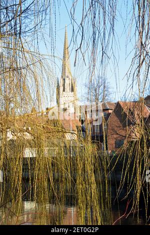 Die Kathedrale von Norwich ragt durch überhängende Weidenzweige am Ufer des Flusses Wensum, Norwich, Norfolk, Großbritannien, auf Stockfoto