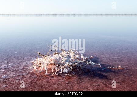 Salzkristalle in rosa Wasser Salzsee in der Ukraine, Europa. Landschaftsfotografie Stockfoto