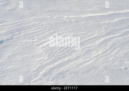 Der Wind hat nach einem Schneesturm Schnee geblasen Stockfoto