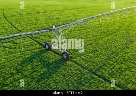 Luftansicht des Zentrumspott-Bewässerungsprinklers in jungen Grünweizenfeldern, Drohnenfotografie Stockfoto