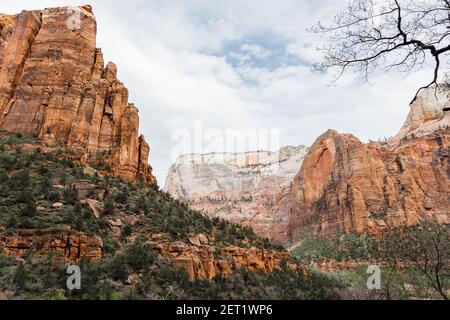Ein faszinierender Blick auf die braunen Landschaften des Zion National Park in Utah, USA Stockfoto