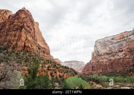 Ein faszinierender Blick auf die braunen Landschaften des Zion National Park in Utah, USA Stockfoto