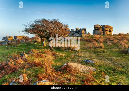 Combestone Tor in der Nähe von Hexworthy im Dartmoor Nationalpark in Devon Stockfoto