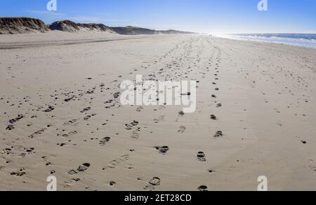 Fußabdrücke an einem Sandstrand in der Nähe von Esbjerg, Dänemark. Stockfoto