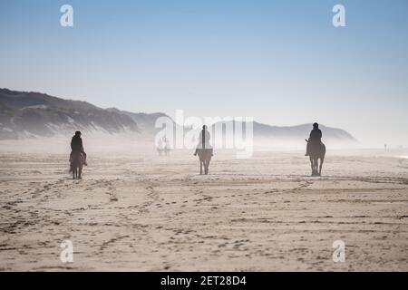 Eine Rückansicht von Menschen Reiten am Strand in der Nähe von Esbjerg, Dänemark. Stockfoto