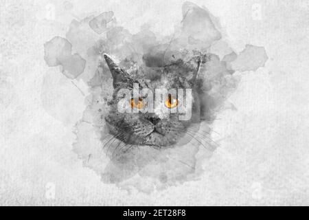 Cute British shorthair Katze Aquarell Porträt. Reinrassige Haustiere. Künstlerische Malerei. Stockfoto