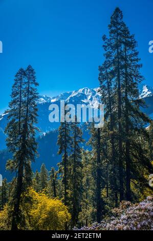 Schneebedeckte Berge. Blick auf die majestätischen Himalaya-Berge im Parvati Valley, Himachal Pradesh Indien Stockfoto