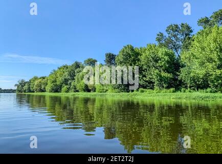 Blick auf die Loire mit üppiger Vegetation Auf dem Wasser Stockfoto