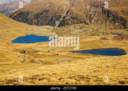 Val Viola im Herbst, Bormio (IT) Stockfoto