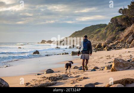 Rückansicht eines Mannes, der mit seinem Hund am Strand von Bolonia entlang läuft, Tarifa, Cadiz, Andalusien, Spanien Stockfoto