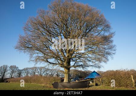 Great Missenden, Großbritannien. 28th. Februar 2021. Ein Camp, das von Umweltaktivisten aus dem Rebellion HS2 eingerichtet wurde, ist in der Nähe der Leather Lane abgebildet. Die Aktivisten haben das Lager kürzlich nach lokalen Berichten eingerichtet, dass rund zwölf Eichen in der Nähe wegen vorübergehender Arbeiten im Zusammenhang mit der Hochgeschwindigkeitsstrecke HS2 mit dem Abschlag bedroht sind. Kredit: Mark Kerrison/Alamy Live Nachrichten Stockfoto