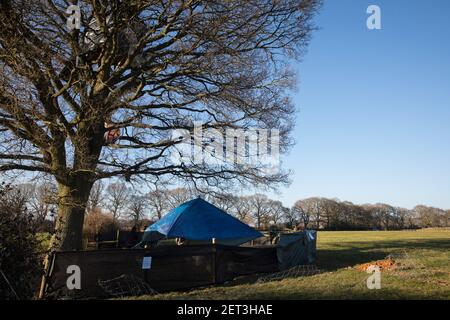 Great Missenden, Großbritannien. 28th. Februar 2021. Ein Camp von Umweltaktivisten aus dem Jahr HS2 Rebellion ist vor einer Reihe von Eichen entlang der Leather Lane abgebildet. Die Aktivisten haben vor kurzem die Bäume besetzt und das Lager in der Nähe aufgebaut, nachdem lokale Berichte berichtet haben, dass etwa zwölf der Eichen wegen vorübergehender Arbeiten im Zusammenhang mit der Hochgeschwindigkeitsstrecke von HS2 mit dem Abschlag bedroht sind. Kredit: Mark Kerrison/Alamy Live Nachrichten Stockfoto