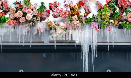 Schneebedeckte Blumen auf dem Balkon mit langen Eiszapfen, Kopierraum. Stockfoto