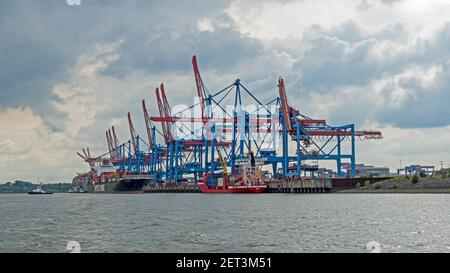 Hamburg, Deutschland - 09/08/2019: Das Containerschiff Rumba liegt im Containerterminal Altenwerder des Hamburger Hafens, Deutschland, Europa Stockfoto