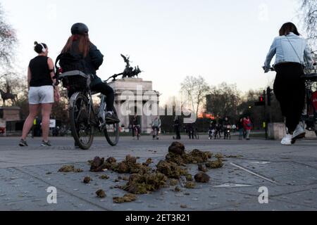 Pferd fecus auf dem Bürgersteig, wie die Menschen warten, um die Straße zu überqueren, Blick auf Wellington Arch in der Nähe Hyde Park - Westminster, London, Großbritannien Stockfoto