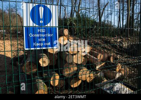 Wendover, Großbritannien. 28th. Februar 2021. In einem Waldgebiet neben der kleinen Dean Lane, die derzeit für die Hochgeschwindigkeitsstrecke HS2 freigelegt wird, sind gefällte Bäume abgebildet. Anti-HS2-Aktivisten besetzen weiterhin das Wendover Active Resistance Camp auf der gegenüberliegenden Seite der Bahnlinie vom Wald aus. Kredit: Mark Kerrison/Alamy Live Nachrichten Stockfoto