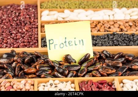 Verschiedene Bohnen in der Holzkiste mit den Noten Protein auf Papier. Borlotti, adzuki, schwarze Schildkröte, schwarze Augen Bohnen, Scharlach Läufer, Rote Niere. Stockfoto