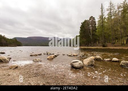 Das Nordufer von Loch an Eilein im Rothiemurchus-Wald im Cairngorms National Park, Schottland Stockfoto