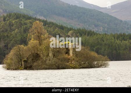 Die sonnenbeschienene Ruine einer kleinen Burg auf einer Insel in Loch an Eilein, Teil des Rothiemurchus Estate in Aviemore, Schottland Stockfoto