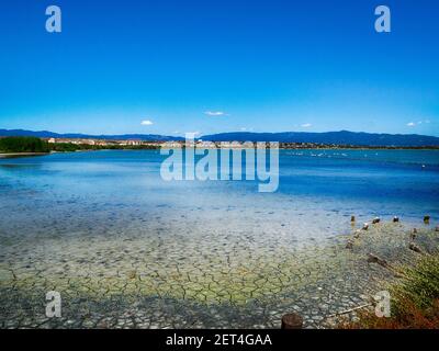 Molentargius Saline Regional Park, Cagliari, Sardinien, Italien Stockfoto