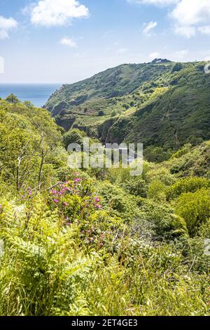 Blick auf die Petit bot Bay von einer "Ruette Tranquille", einer ruhigen Gasse in der Nähe von Petit bot, Guernsey, Channel Islands UK Stockfoto