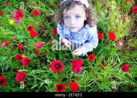 Ansicht eines Mädchens, das in einem Mohnfeld steht, Italien Stockfoto