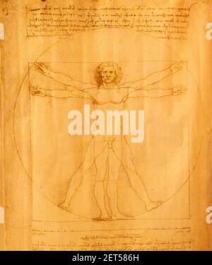 Der Künstler Leonardo da Vinci Zeichnung 'Vitruvian man' Leonardo da Vincis Zeichnung einer männlichen Figur perfekt eingeschrieben in einem Kreis und Quadrat, bekannt als Stockfoto