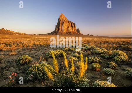 Wildblumen und Shiprock, New Mexico, Vereinigte Staaten Stockfoto