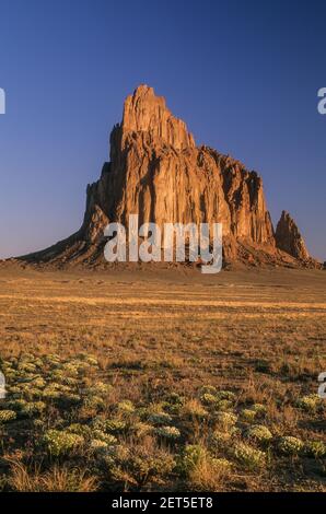 Wildblumen und Shiprock, New Mexico, Vereinigte Staaten Stockfoto