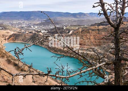 Trockener Baum am Rande eines tief verlassenen Tagebaus Grube mit einem blauen See am Boden Stockfoto