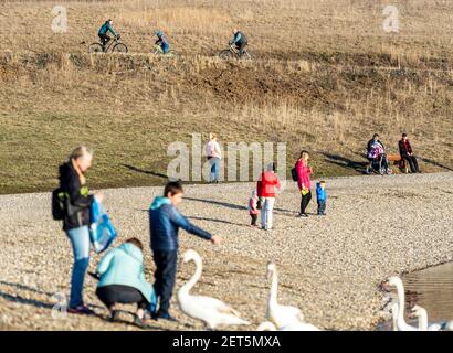 Usti Nad Labem, Tschechische Republik. März 2021, 01st. Am Ufer des Rückgewinnungssees Milada bei Usti nad Labem, Tschechien, 1. März 2021, füttern die Menschen Schwäne. Kredit: Ondrej Hajek/CTK Foto/Alamy Live Nachrichten Stockfoto