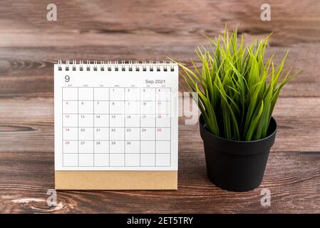 September 2021 Kalender auf Holzhintergrund mit grüner Topfpflanze Stockfoto