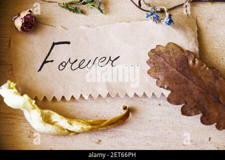 Ein für immer Wort, Text und Brief auf dem alten Papier, trockene Pflanzen und Blumen, Herbstfarben, Herbst Thema. Stockfoto