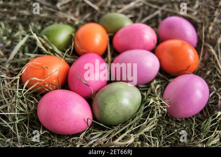 Bunte Hühnereier mit natürlichen Lebensmittelfarben auf trockenem Gras bemalt. Osterfeiertagskonzept Stockfoto