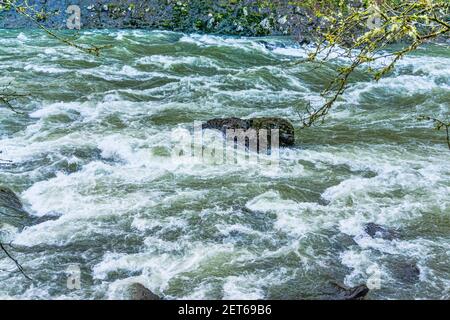 Mitten in Stromschnellen am Snoqualmie River ragt ein Felsen hoch. Stockfoto