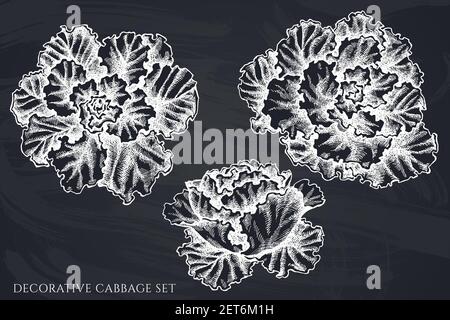 Vektor-Set von handgezeichneten Kreide dekorativen Kohl Stock Vektor