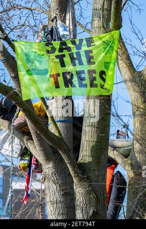 Demonstranten besetzen einen schwarzen Pappelbaum in York Gardens, Battersea, um ihn vor dem Abschneiden zu schützen, damit ein elektrisches Kabel verlegt werden kann Stockfoto