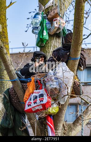 Demonstranten besetzen einen schwarzen Pappelbaum in York Gardens, Battersea, um ihn vor dem Abschneiden zu schützen, damit ein elektrisches Kabel verlegt werden kann Stockfoto